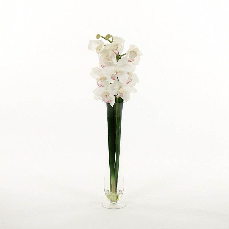 Orchidée Cymbidium dans vase en verre Blanc 96cm Pauline H