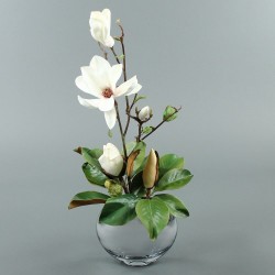 Moon silver Magnolia 67cm