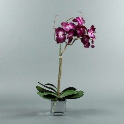 Cube silver Orchid 80cm