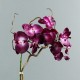 Cube silver L - Orchidée fushia (76508)