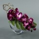 Moon silver M - Orchidée fushia (76584)