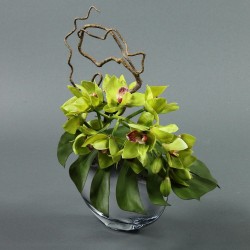 Moon silver M - Orchidée cymbidium vert (78748)