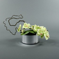 Round silver Orchid 25cm