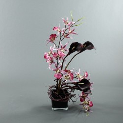 Black Cube Orchid spider & Arum 59cm