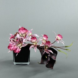 Black Cube Orchid spider & Arum 22cm