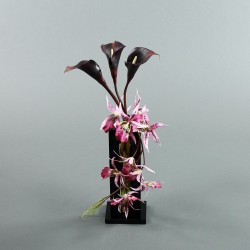 Cristal Black Orchid spider & Arum 53cm