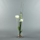 Conic L - Coquelicot blanc, Herbes