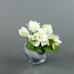Moon Silver S - Orchidée Cymbidium blanc