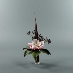Conic S - Magnolia fushia (78120)