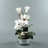 Round silver - Magnolia blanc (80239)