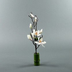 Bamboo S - Magnolia semi-open White 45cm