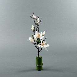 Bambou S - Magnolia semi-ouvert blanc (79820)
