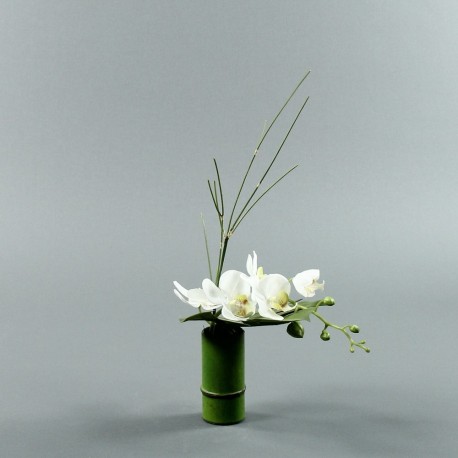 Bambou S - Orchidée courte blanc (80079)