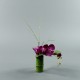 Bambou S - Orchidée courte fushia (80086)