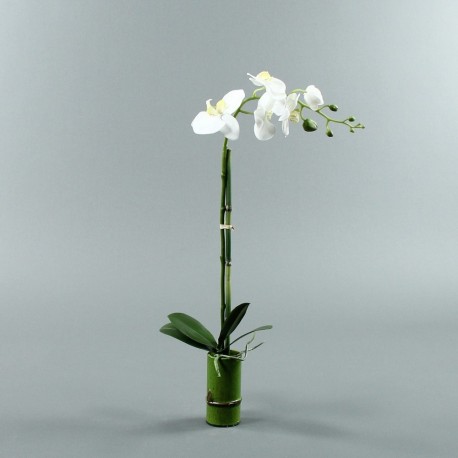 Bambou S - Orchidée longue blanc (80055)