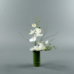 Bambou M - Orchidée double blanc (80123)