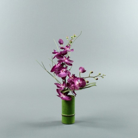 Bambou M - Orchidée double fushia (80130)