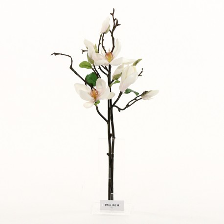 Fin S - Magnolia blanc (78939)