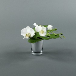 Pot silver - Orchidée blanc
