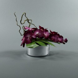 Round silver - Orchidée fushia (76584)