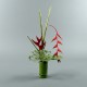 Bambou M - Heliconia rouge, Pendula rouge