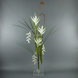 Flat XL - Heliconia white, Pendula white 172cm