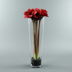 Conic XL - Amaryllis x6 red 80cm