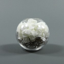 Boule M - Hortensia blanc