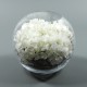 Boule XL - Hortensia blanc