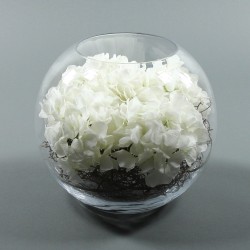 Boule XL - Hortensia blanc