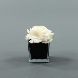 Cube S black - Rose Duchesse Champagne