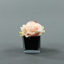 Cube S black - Rose Duchesse Rose