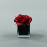 Cube S black - Rose Duchesse Rouge Noël