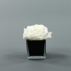 Cube S black - Rose Duchesse Blanc