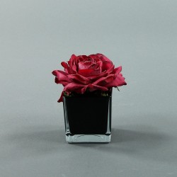 Cube S black - Rose Duchesse Rouge Fushia