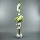 Cylindric L - Hortensia vert, Phalaenopsys blanc, bambou