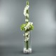 Cylindric L - Hortensia vert, Phalaenopsys blanc, bambou