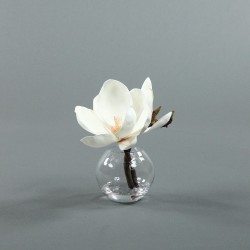 Boule S - Magnolia blanc
