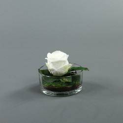 Cylindric bas - Rose blanc