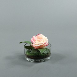 Cylindric bas - Rose rose
