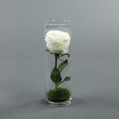 Cylindric haut - Rose blanc
