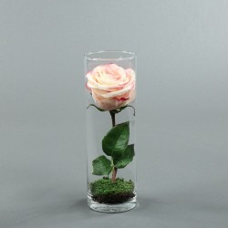 Cylindric haut - Rose rose