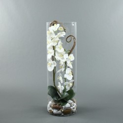 Cylindric XL - Orchidée blanc