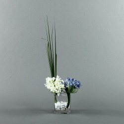 Cube Clear M - Agapanthus blue white 52cm