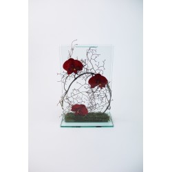 Para Glass - Orchidée rouge