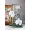 Para Glass - Orchidée blanc
