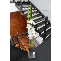 Chrome XL - Bamboo green - Orchid white 155cm