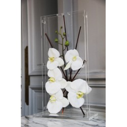 Para GM narrow - Orchid white 43cm