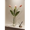 Lumi Flat MM - Tulipe rose 81cm (x3)