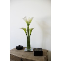 Lumi Chrome GM - Arums white 70cm